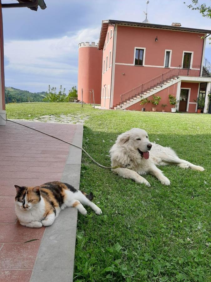 Agriturismo La Vita E Bella Villa Fabriano Exterior photo